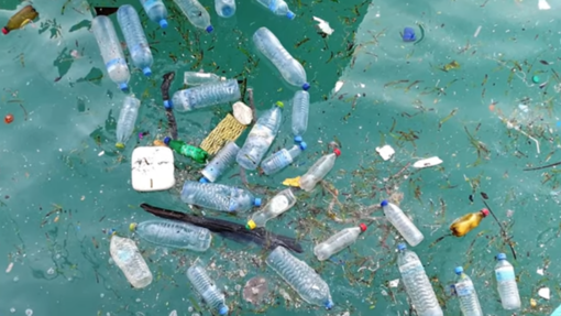 Wie gelangt unser Müll in die Meere?